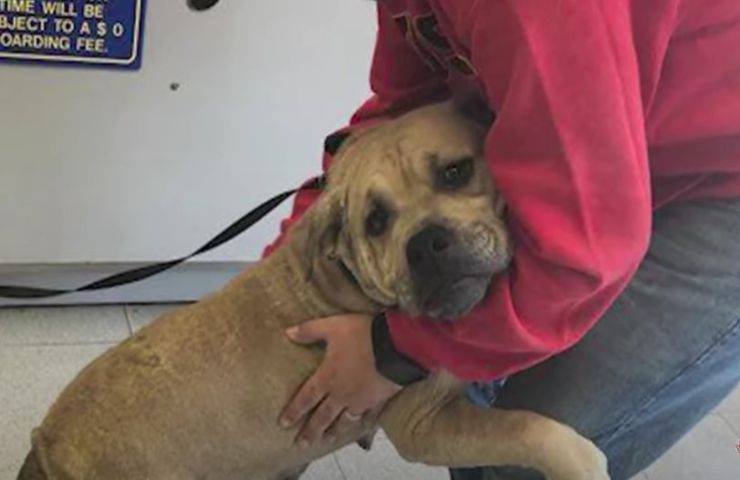 Sophie: Dalla discarica alla rinascita