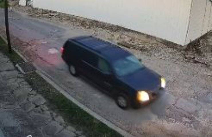 Non riesce a venderli: allevatore si sbarazza dei cuccioli