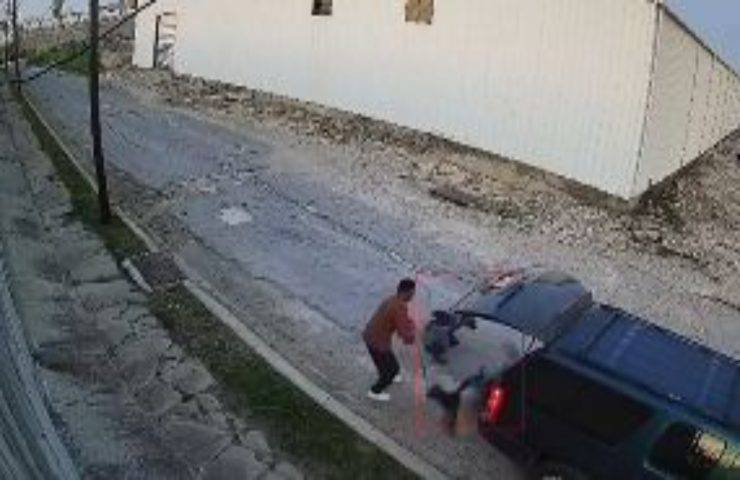 Non riesce a venderli: allevatore si sbarazza dei cuccioli