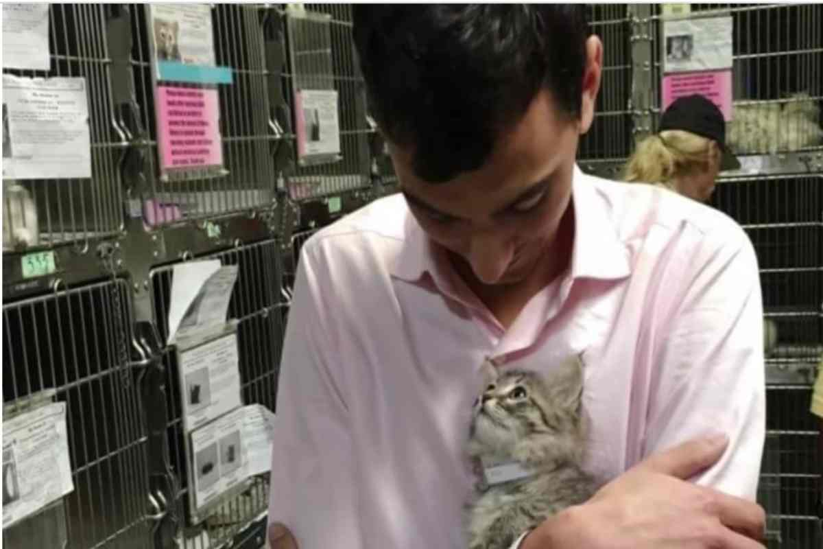 Il gattino gli salta in braccio ed è subito amore