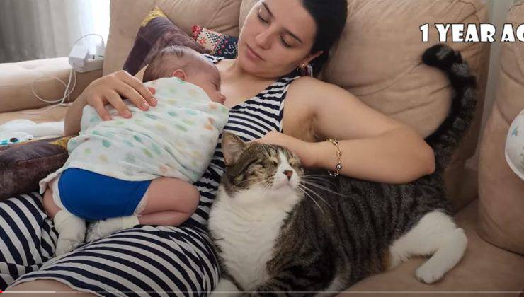 bimbo gatto nascita segue