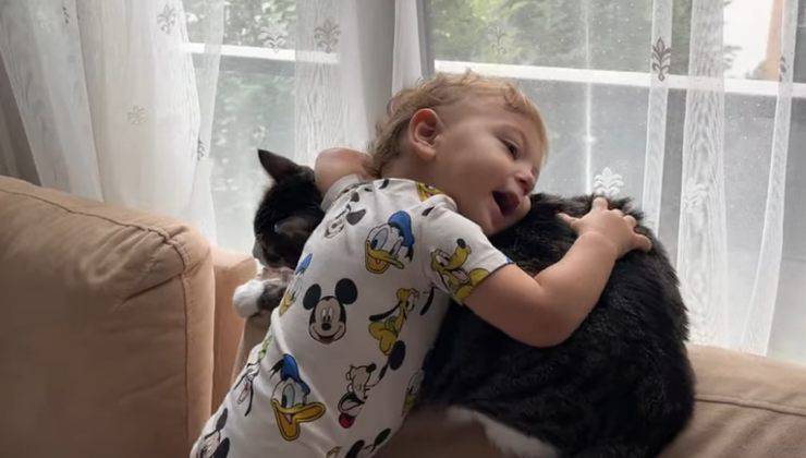 bimbo gatto amicizia speciale