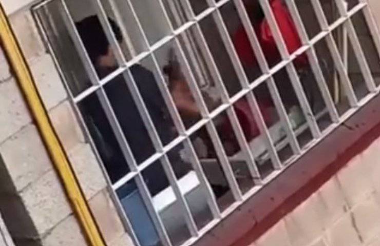 Gatto picchiato brutalmente