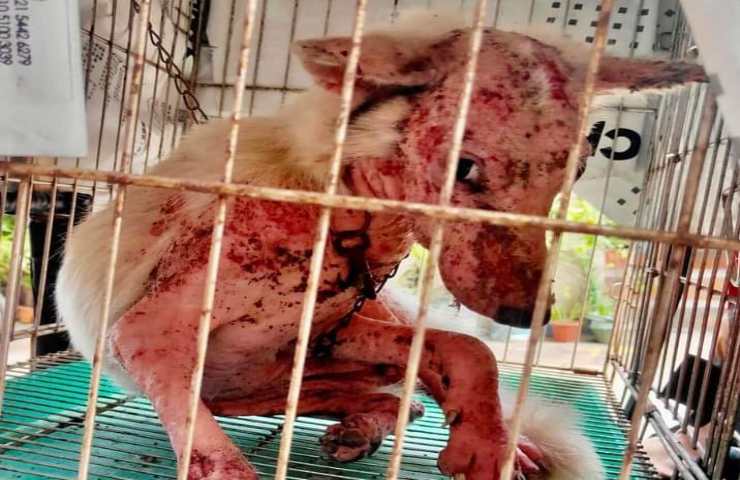 Escursionisti trovano una scatola sigillata