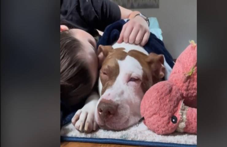 Un'addio commovente ma inevitabile