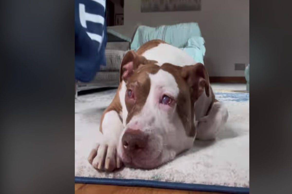 Un'addio commovente ma inevitabile