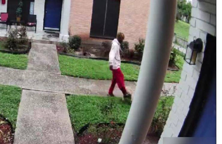 Prende il suo cane per una zampa e lo lancia in aria