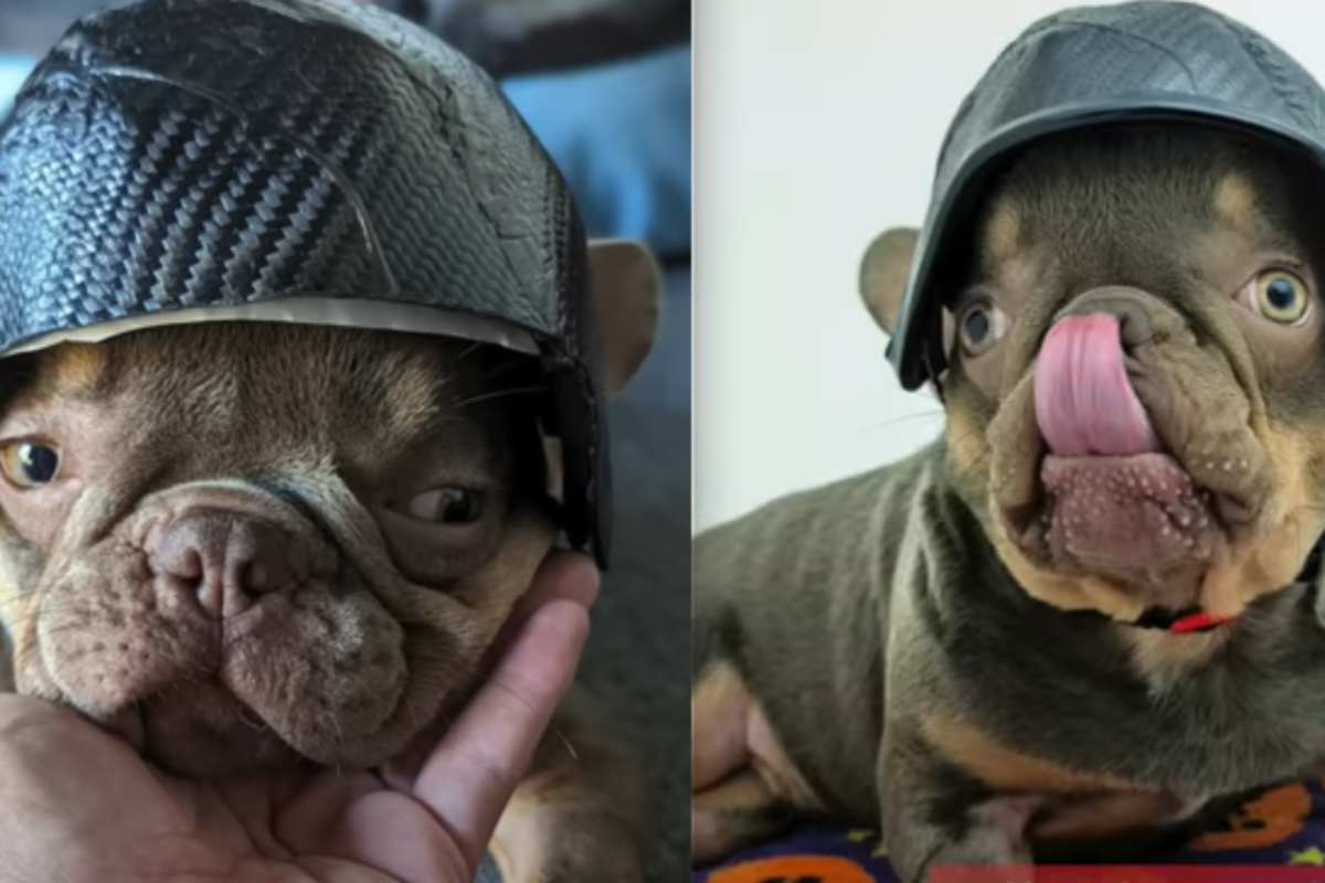 uomo cagnolino bisogni speciali