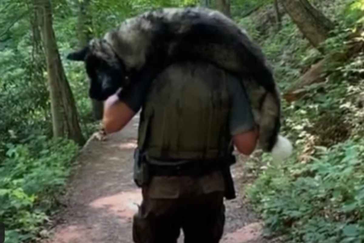 ha salvato la vita di un cane disidratato portandolo in spalla