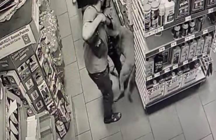 Cane rubato in un supermercato