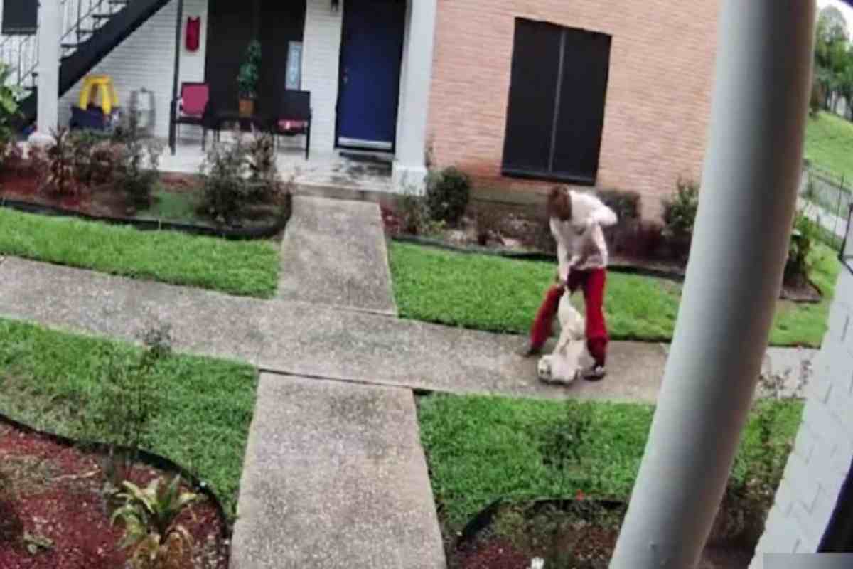 Prende il suo cane per una zampa e lo lancia in aria