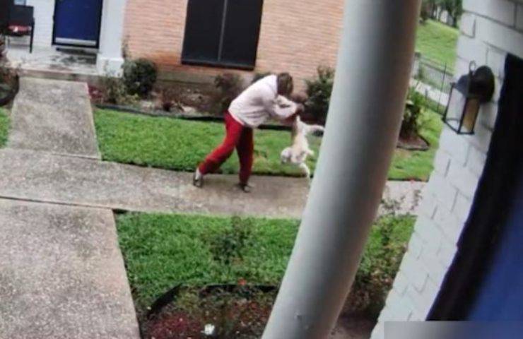 Prende il suo cane per una zampa e lo lancia in aria