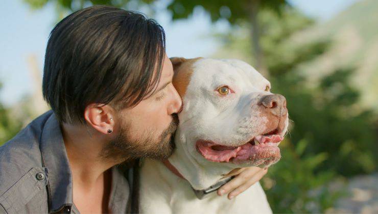 Cane fermo mentre il padrone lo bacia