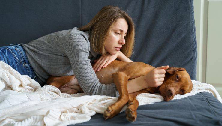Donna coccola il cane sul divano perché ha mal di pancia