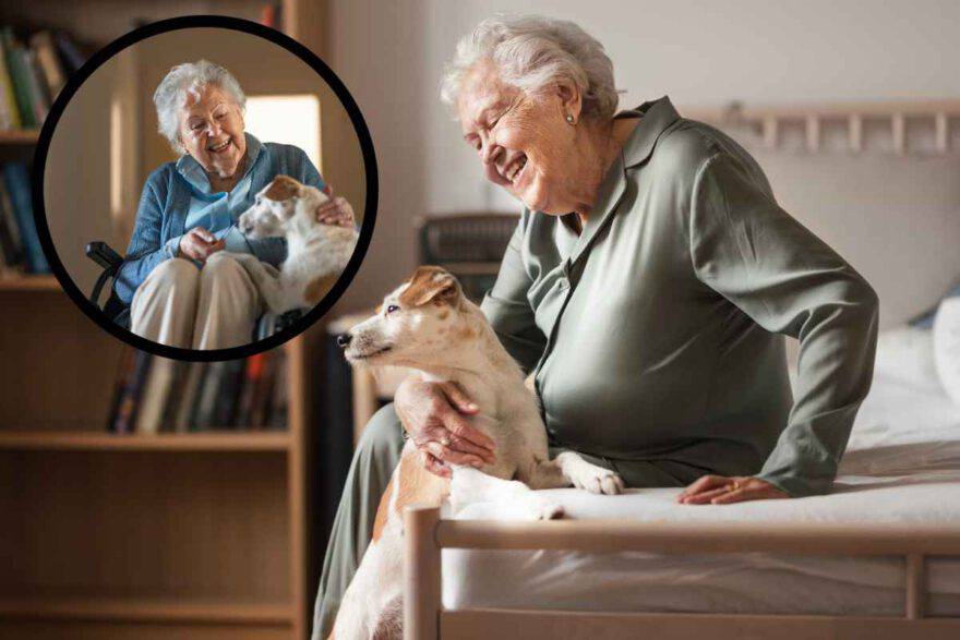 cane e anziano sul letto