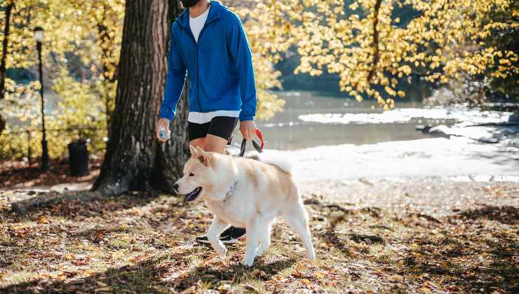 Ragazzo passeggia con il cane accanto perché gli ha insegnato il comando al passo