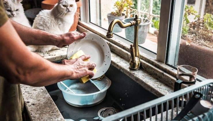 Signora lava il piatto e le ciotole del gatto