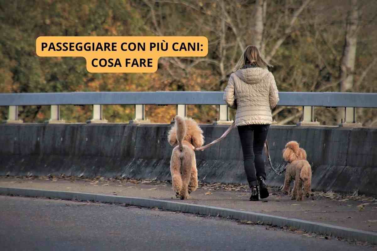 Donna che ama passeggiare con più cani