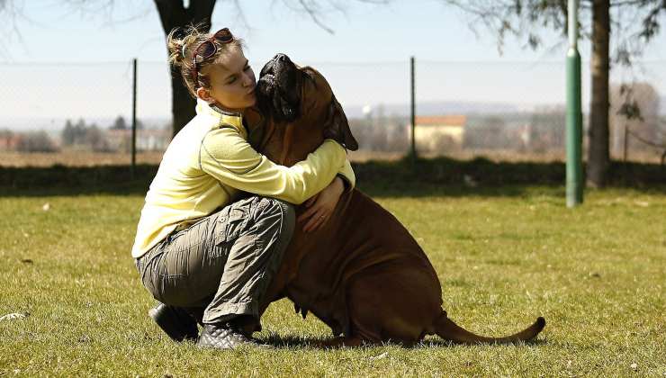 ragazza con cane grande 