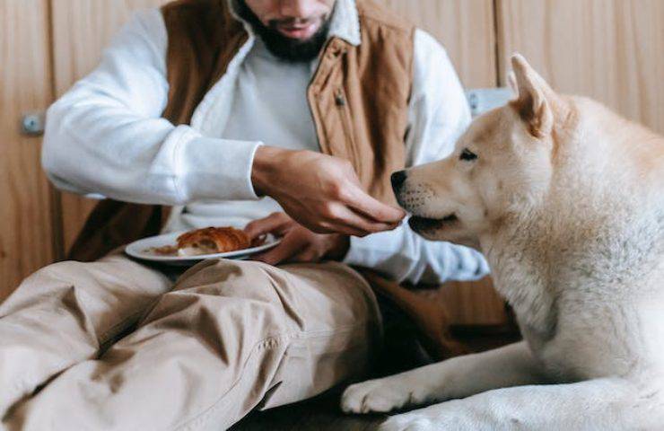 Questi cibi che hai in casa sono pericolosissimi