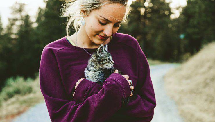 Abbracciare un gatto