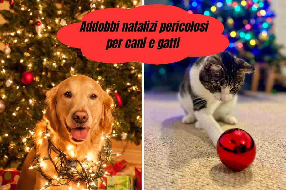 Cane e gatto vicino all'albero di natale che giocano con gli addobbi pericolosi per loro