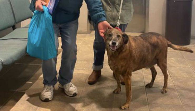 Il cane Ajax con i suoi nuovi proprietari 