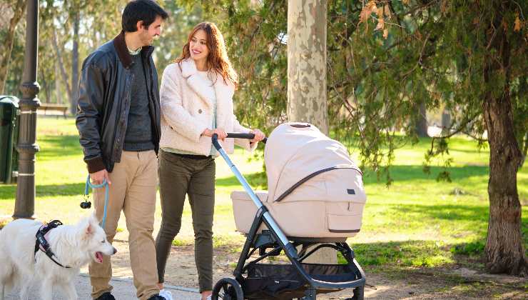 Cane a passeggio con il bambino