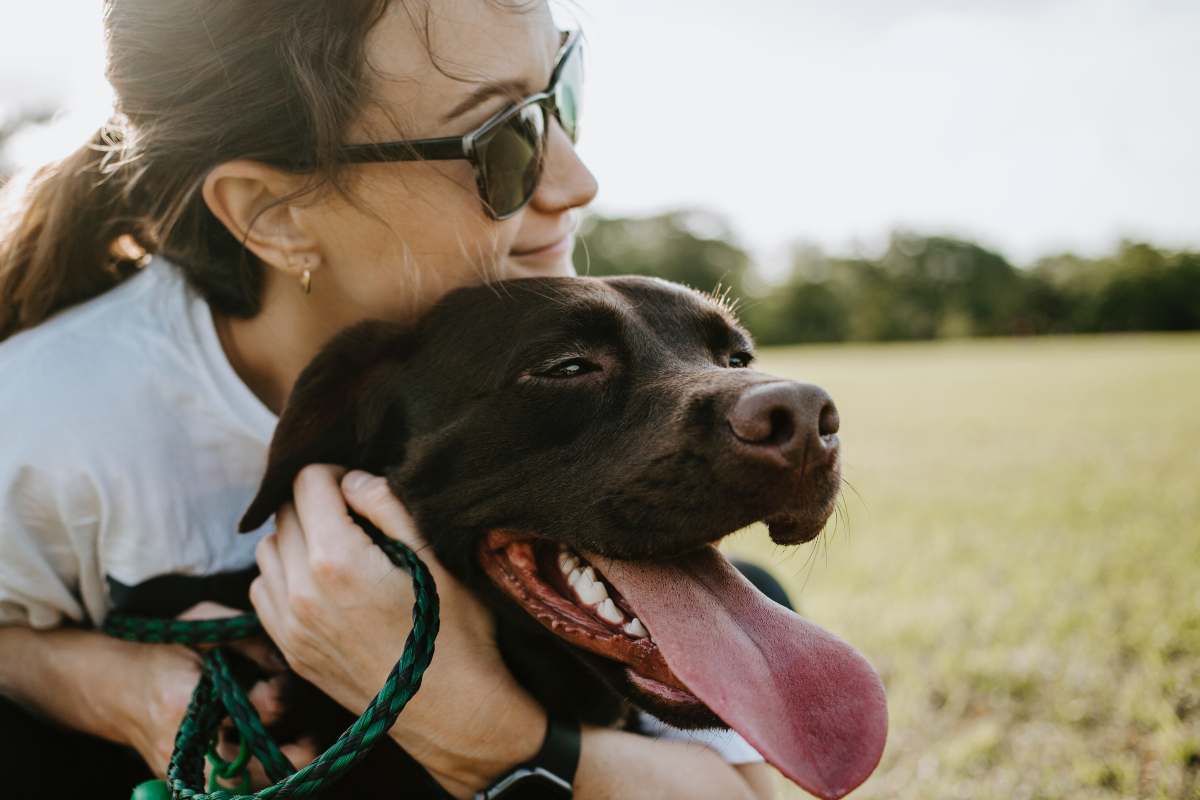 Labrador con proprietaria