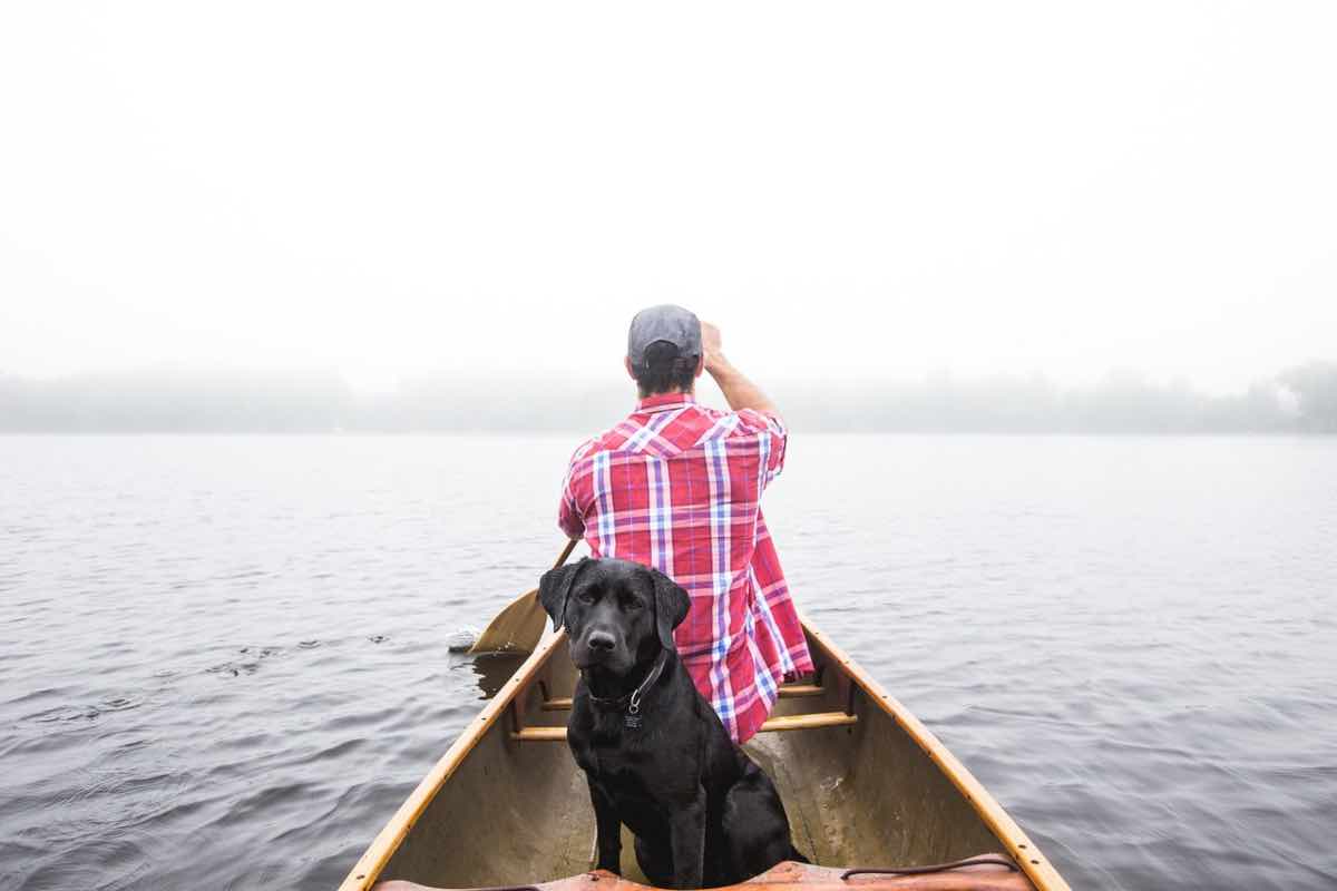 Cane su una piccola imbarcazione con un uomo alla guida