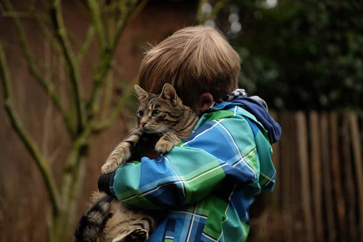 Un bimbo abbraccia il gatto a cui vuole bene