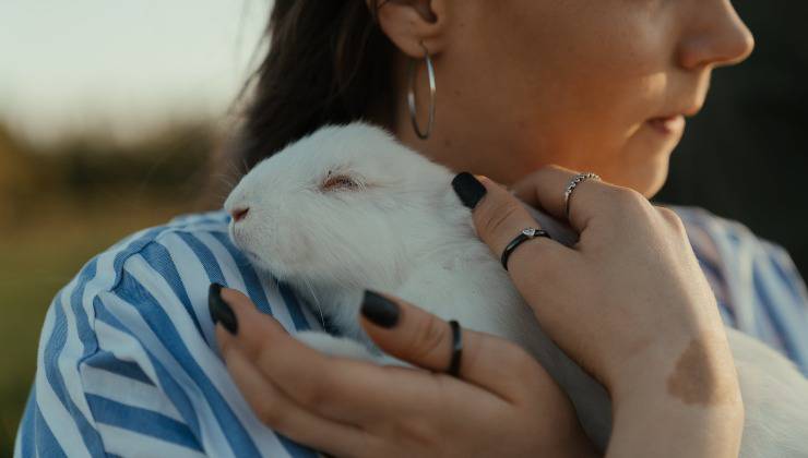 Coniglio bianco sulle spalle della donna con le lacrime agli occhi