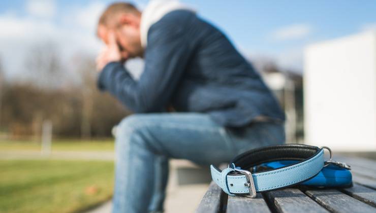 Persona seduta e disperata per la perdita del proprio cane