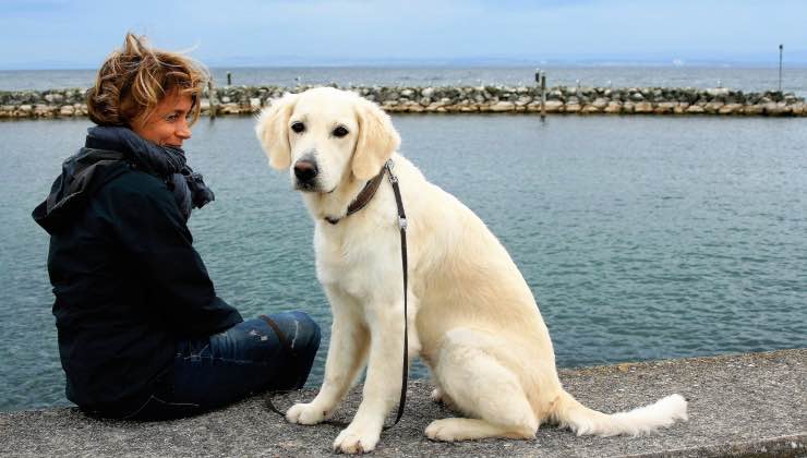 Cane bianco sulla riva del mare con il suo uomo di riferimento 