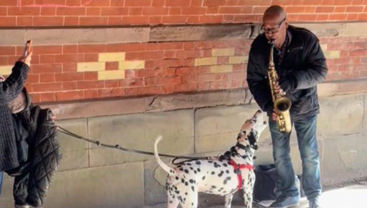 Un cane con una donna in strada che ascolta musica jazz 