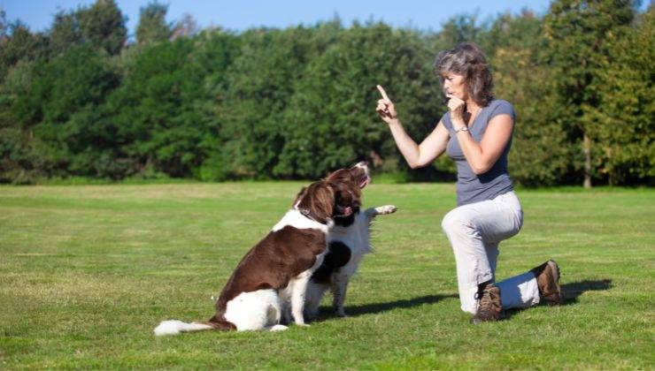 Padrona addestra il suo cane