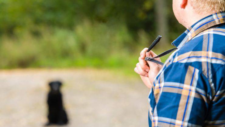 Educatore chiama cane