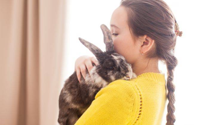 Coniglio riconosce il suo umano e resta nelle sue braccia