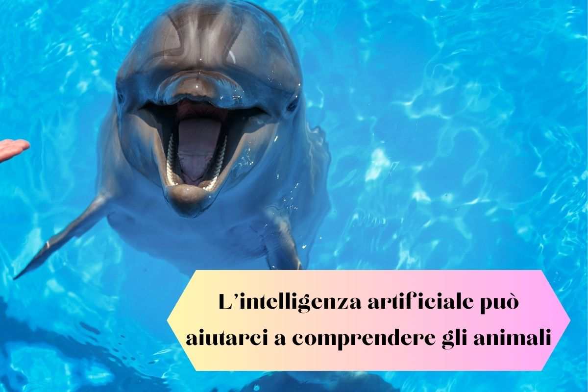 L'intelligenza artificiale ci aiuta a capire il linguaggio del delfino che guarda l'uomo