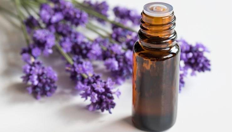 olio di lavanda benefici