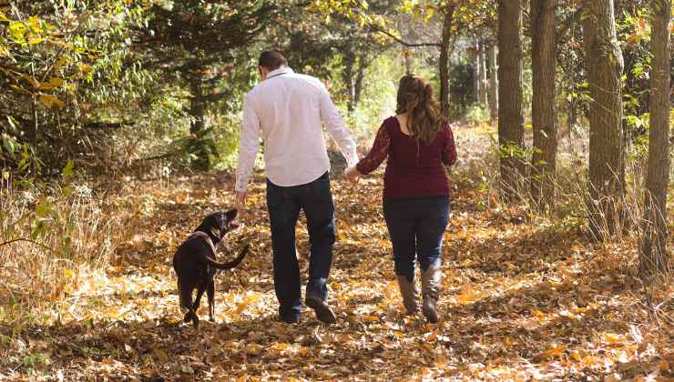 Il cane cammina con la sua famiglia tra le foglie cadute nel parco
