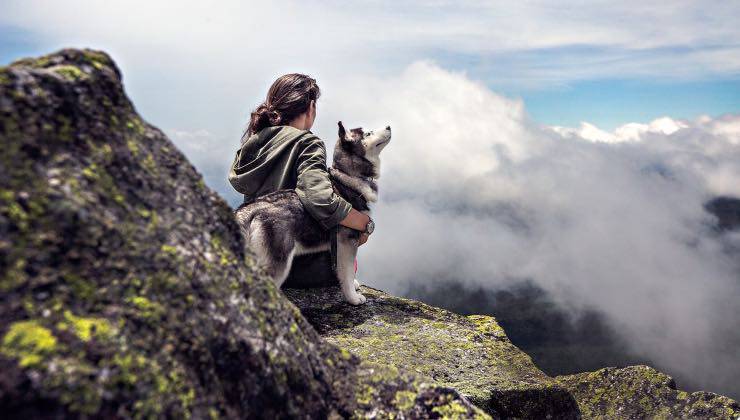 Cane Husky con una donna davanti a un panorama di montagna per prevenire la demenza 