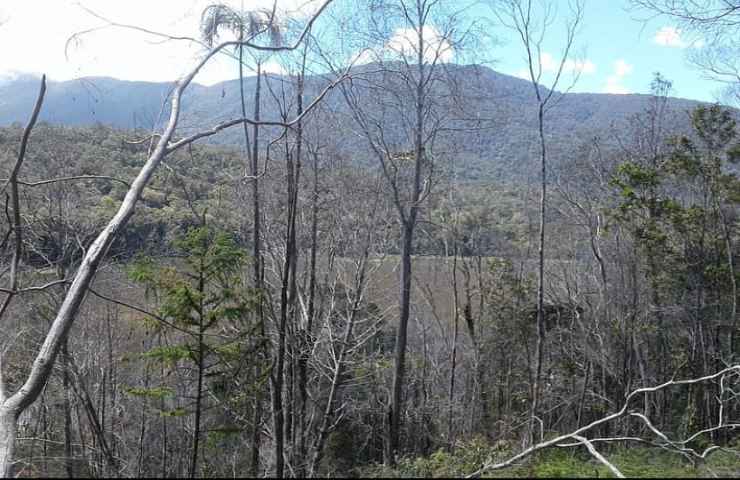 Un animale mai visto prima