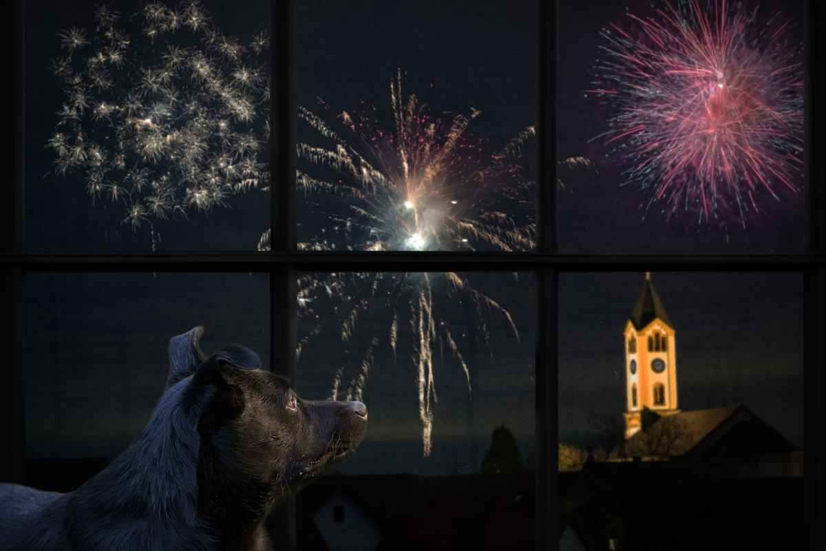 Attenzione ai fuochi d'artificio