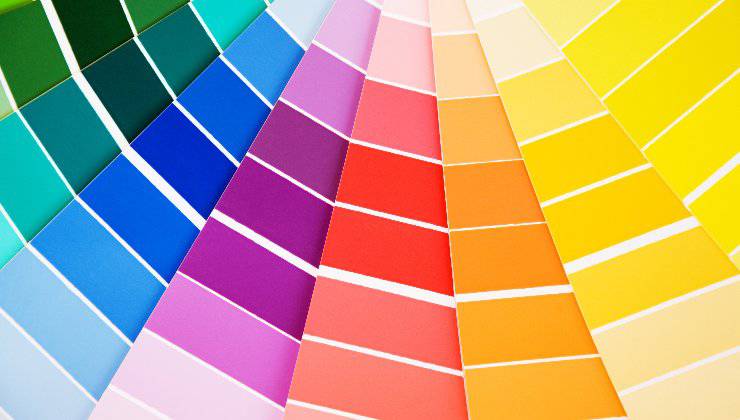 come vede il criceto i colori