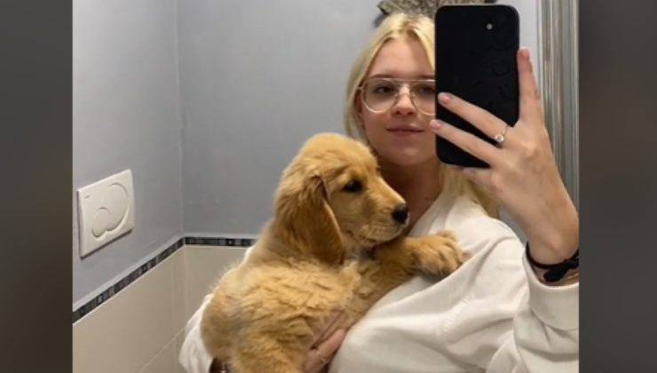 la crescita del Golden Retriever in un video