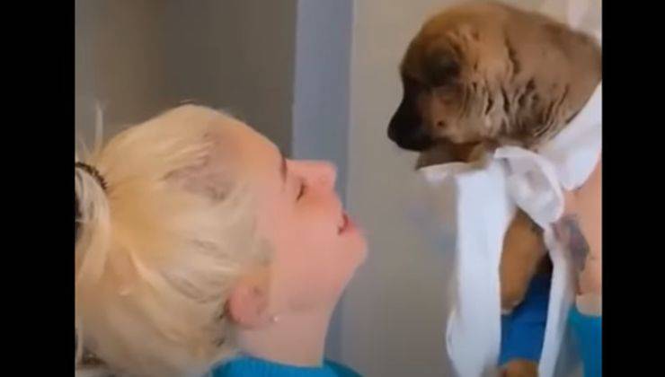 salvataggio del cucciolo nella neve ferito