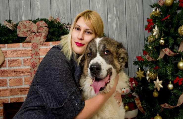 Le feste di Natale possono essere traumatiche per il tuo cane