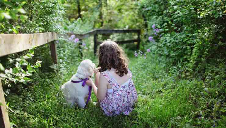 Piccolo cane bianco seduto accanto a una bambina in un prato 