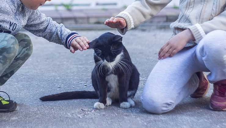 Due bambini della stessa famiglia coccolano un animale in strada 